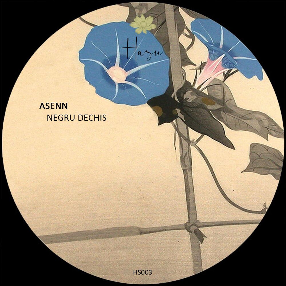 Picture of Asenn