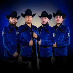 Los Elementos de Culiacan