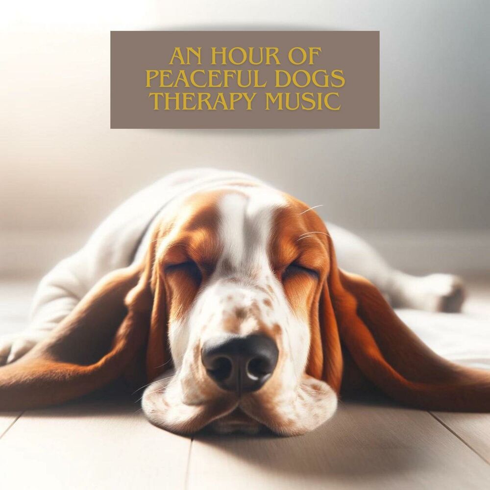 Picture of Dogs Therapy