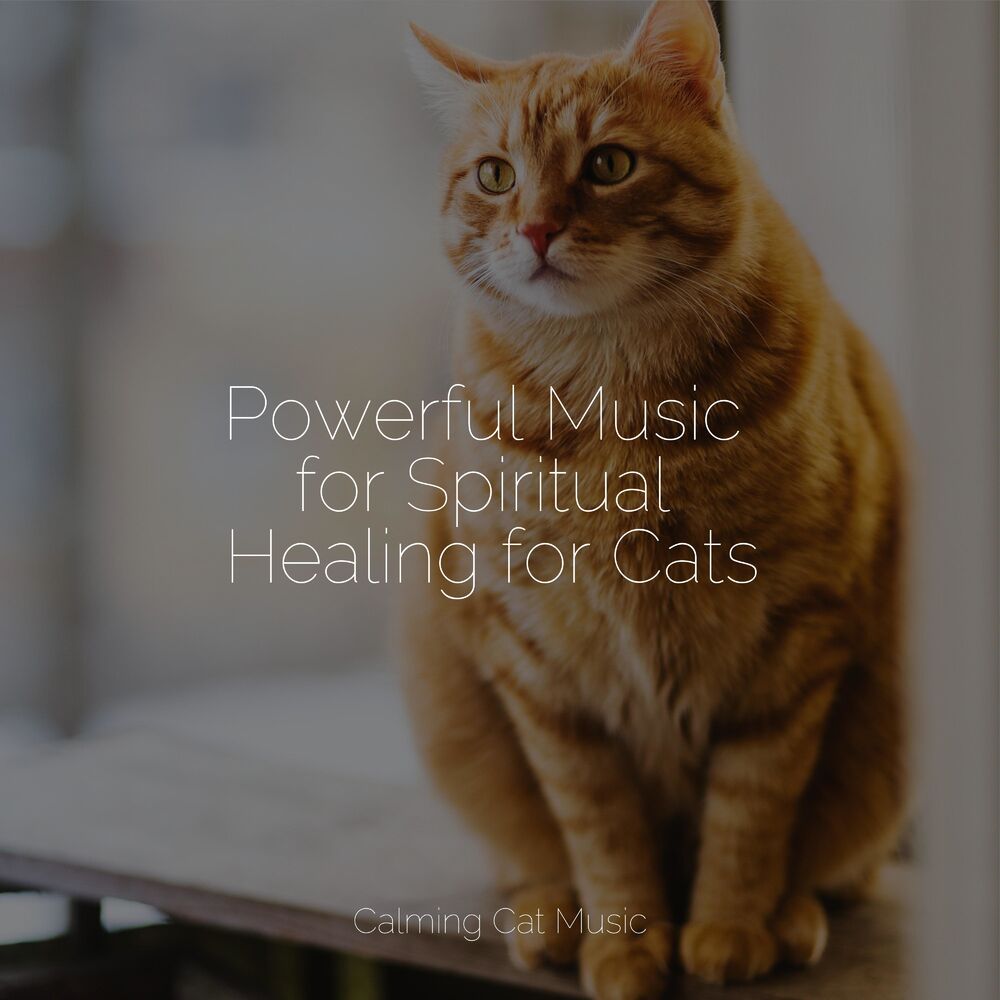 Picture of Music for Resting Cats