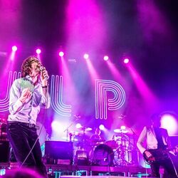 Pulp