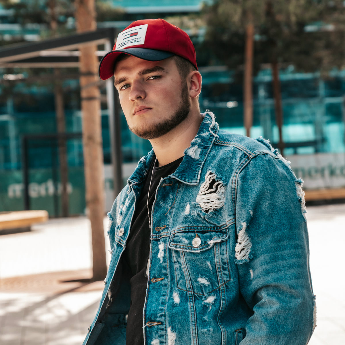 Artist picture of Gaullin