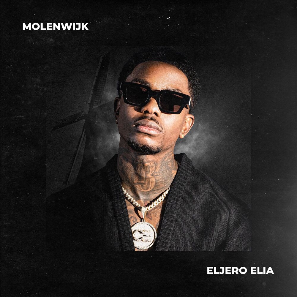 Picture of Eljero Elia