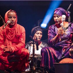 Picture of Les Filles de Illighadad
