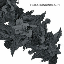 Picture of Mitochondrial Sun