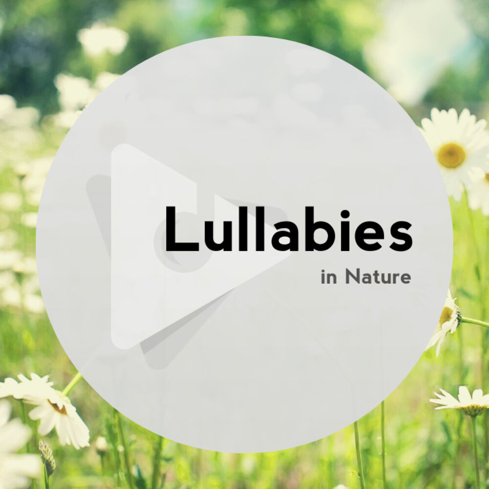 Picture of Lullabies In Nature