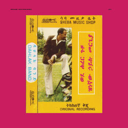 Picture of Hailu Mergia and Dahlak Band