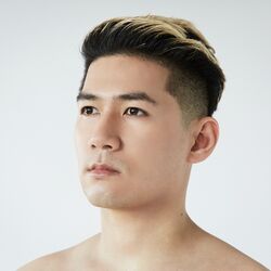 Picture of Iskandar Widjaja