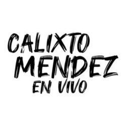Picture of Calixto Mendez El As De Los Teclados