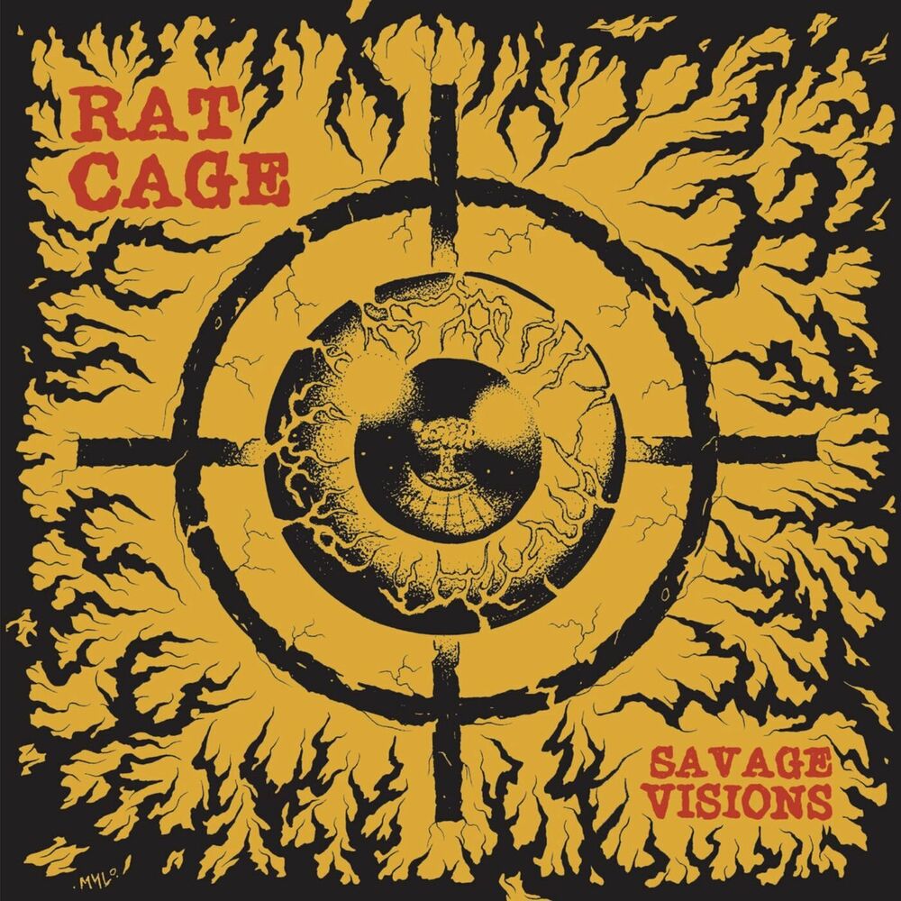 Picture of Rat Cage