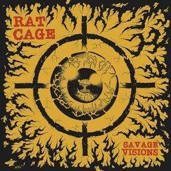 Picture of Rat Cage