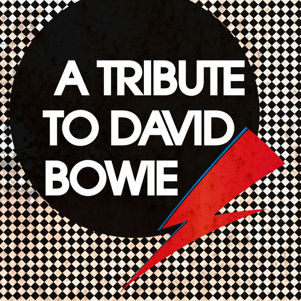 Photo de l'artiste The Bowie Knives