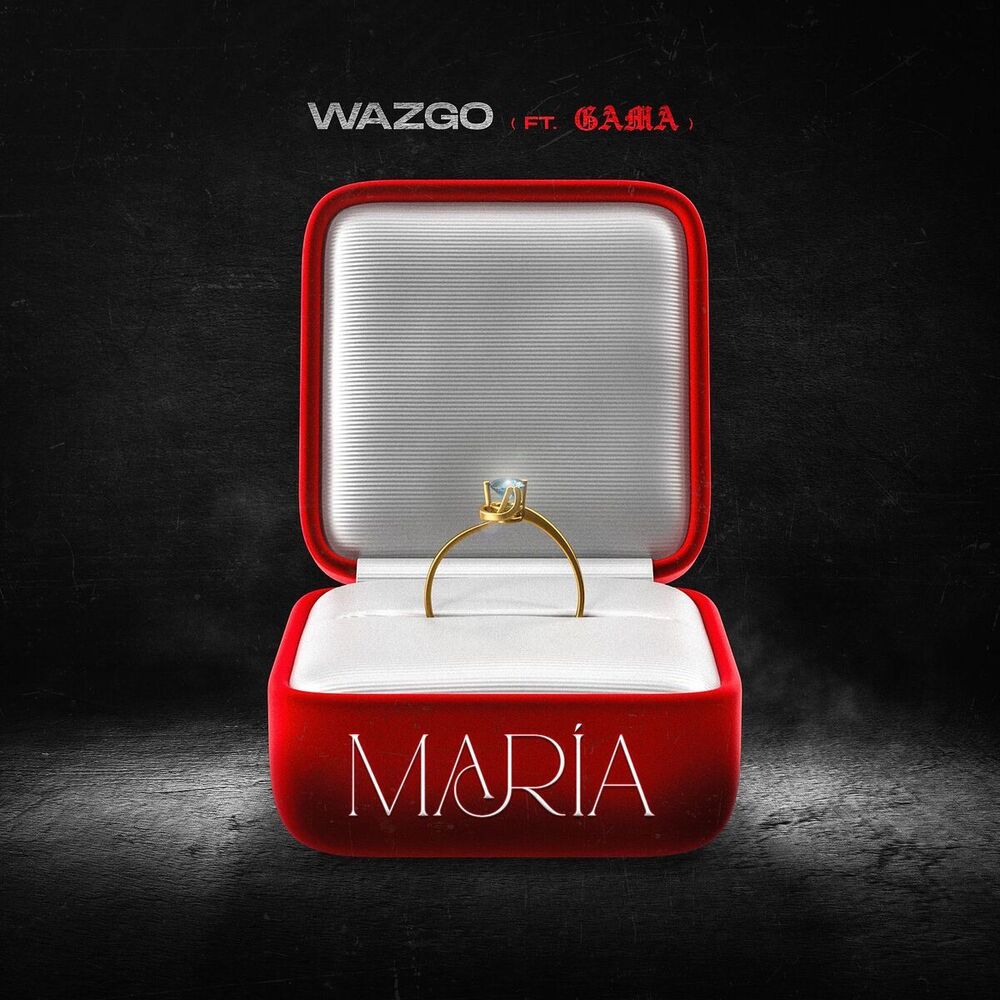 Picture of WAZGO