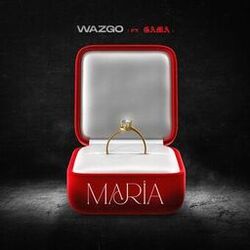 Picture of WAZGO