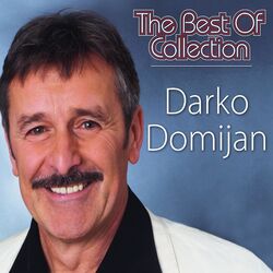Picture of Darko Domijan