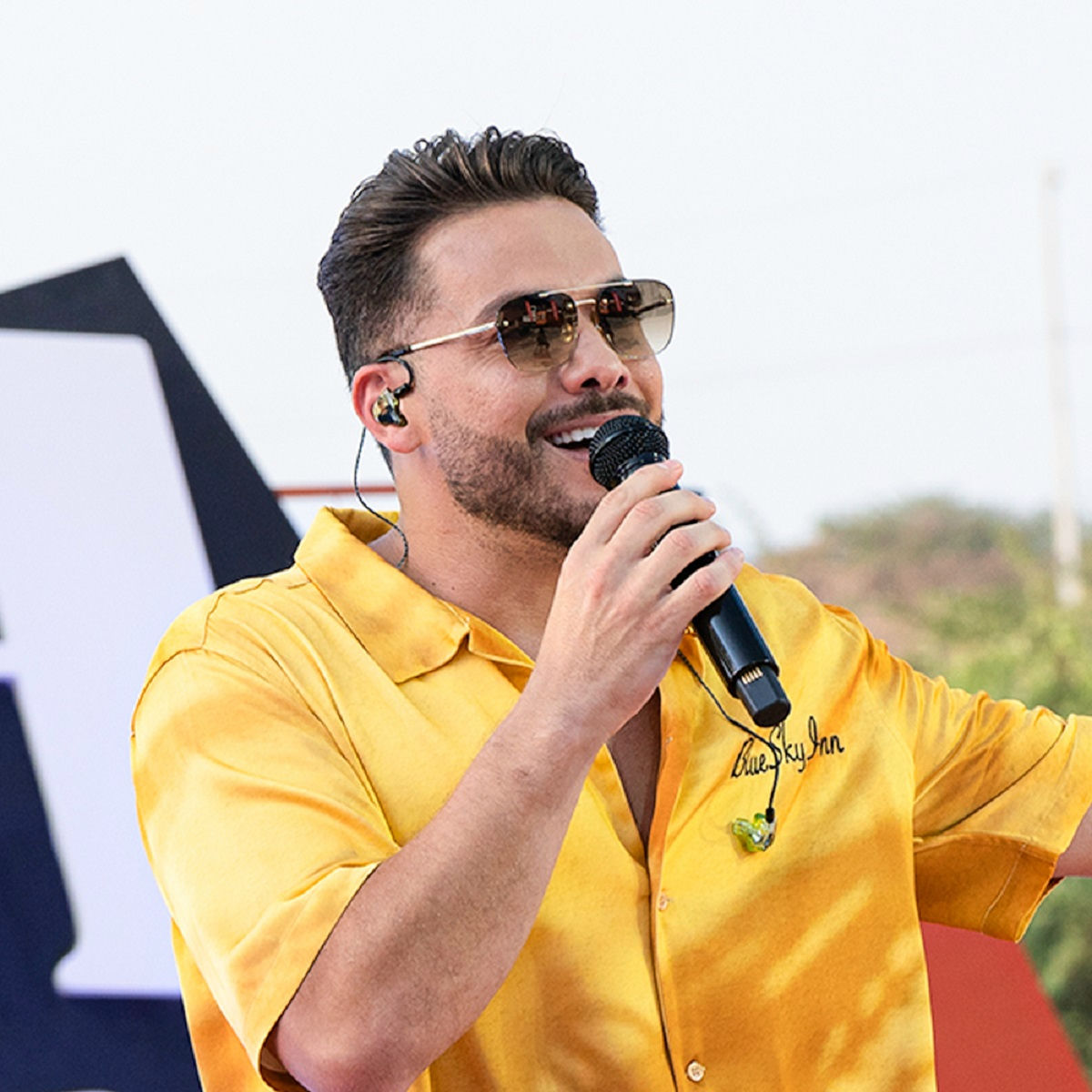 Artist picture of Wesley Safadão