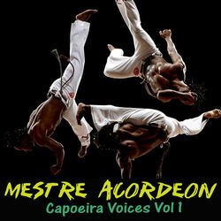 Picture of Mestre Acordeon