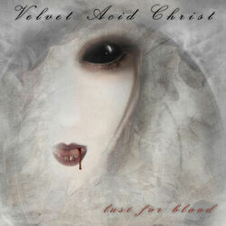 Picture of Velvet Acid Christ