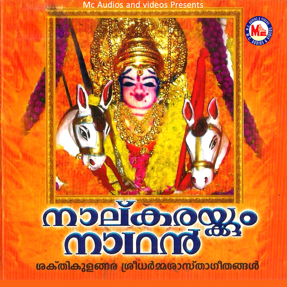 Picture of Anu V. Sudev