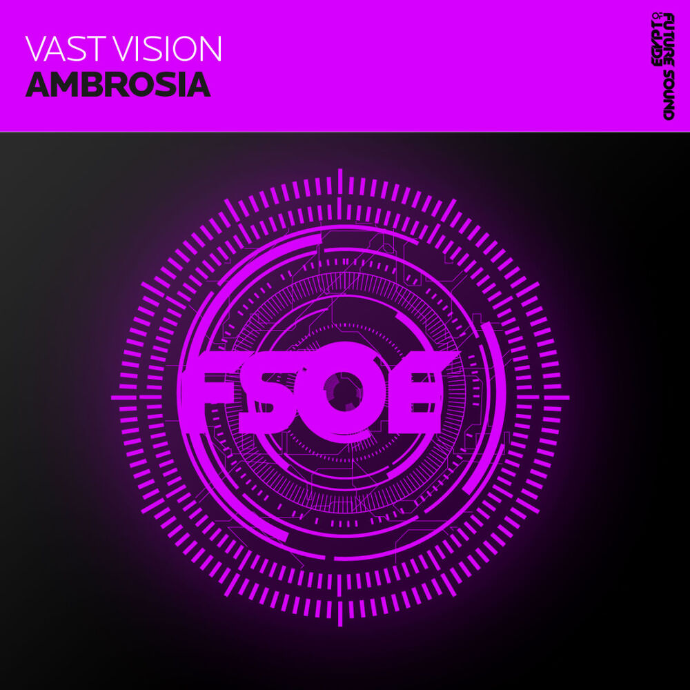 Picture of Vast Vision