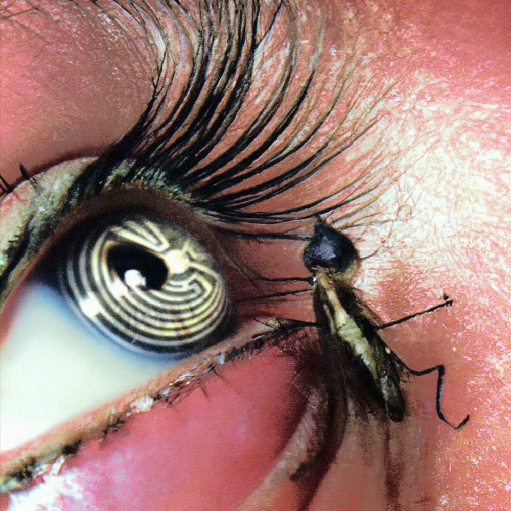 Photo de l'artiste Chechive