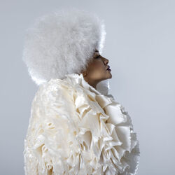 Picture of Lady Blackbird