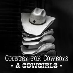 Picture of Wild Country Instrumentals