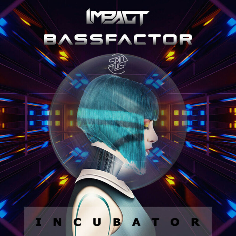 Picture of Bassfactor