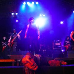 Picture of Sweet Noise