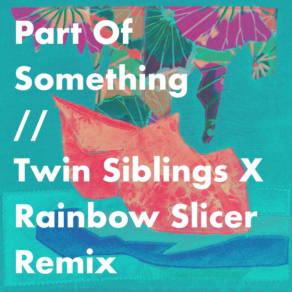 Twin Siblings
