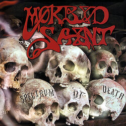 Picture of Morbid Saint