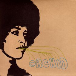 Picture of Orchid