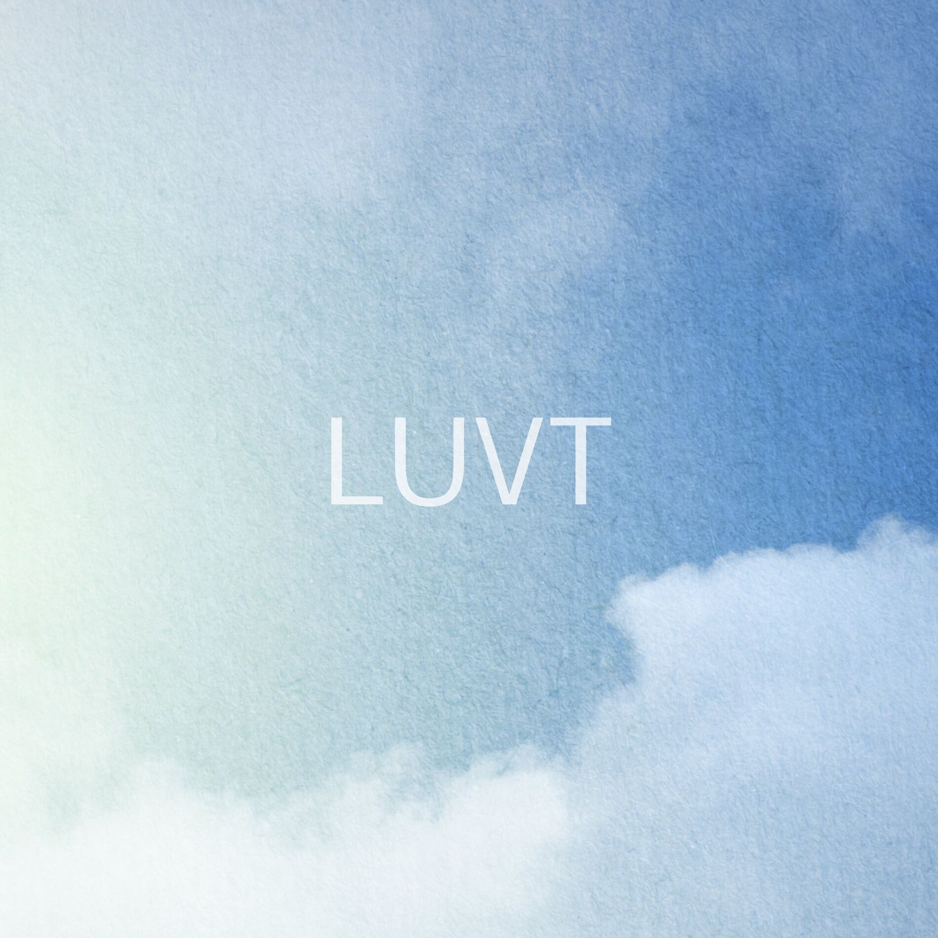 Artist picture of LUVT
