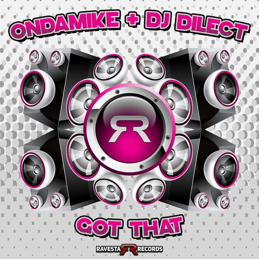 Picture of Dj DIlect