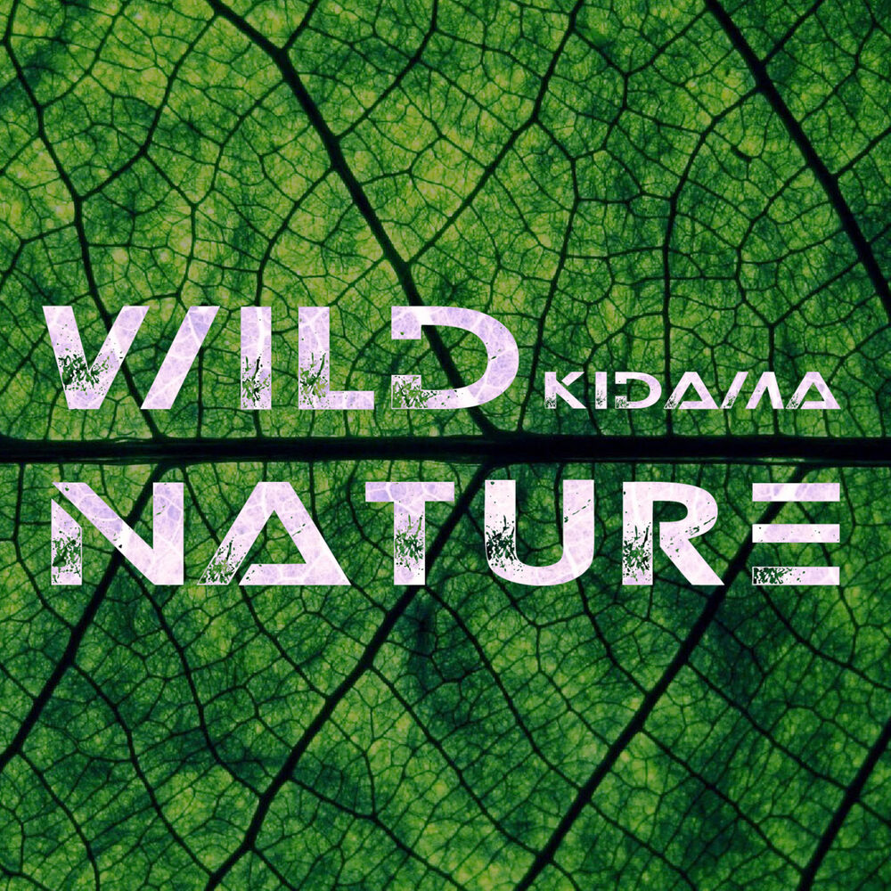 Picture of Kidama