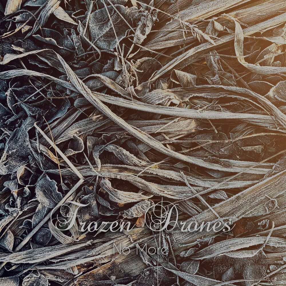 Picture of Frozen Drones