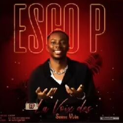 Picture of Esco P