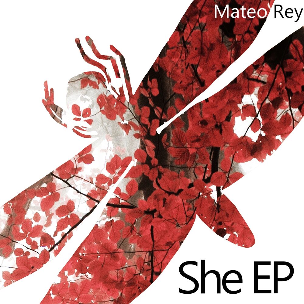 Picture of Mateo Rey