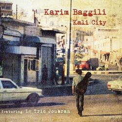 Picture of Karim Baggili