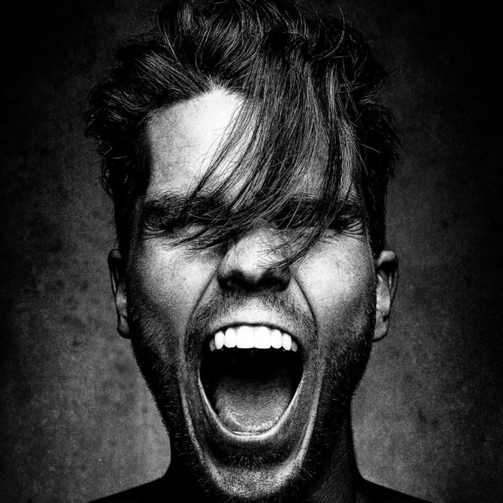 Picture of KALEO
