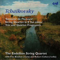 Picture of The Endellion String Quartet
