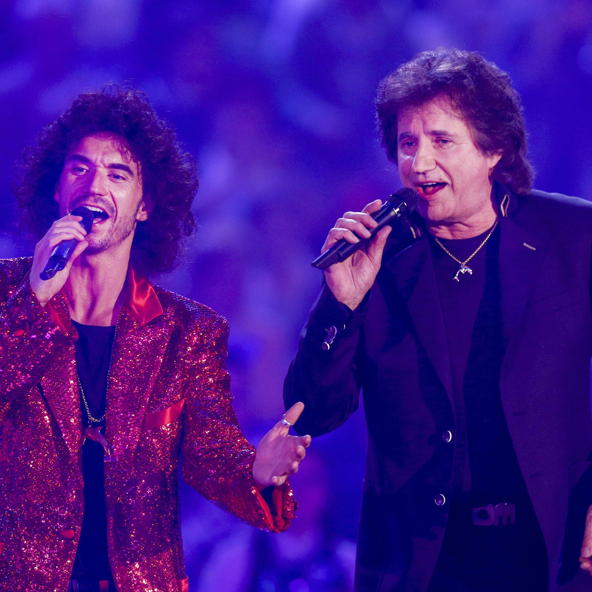 Artist picture of Die Flippers