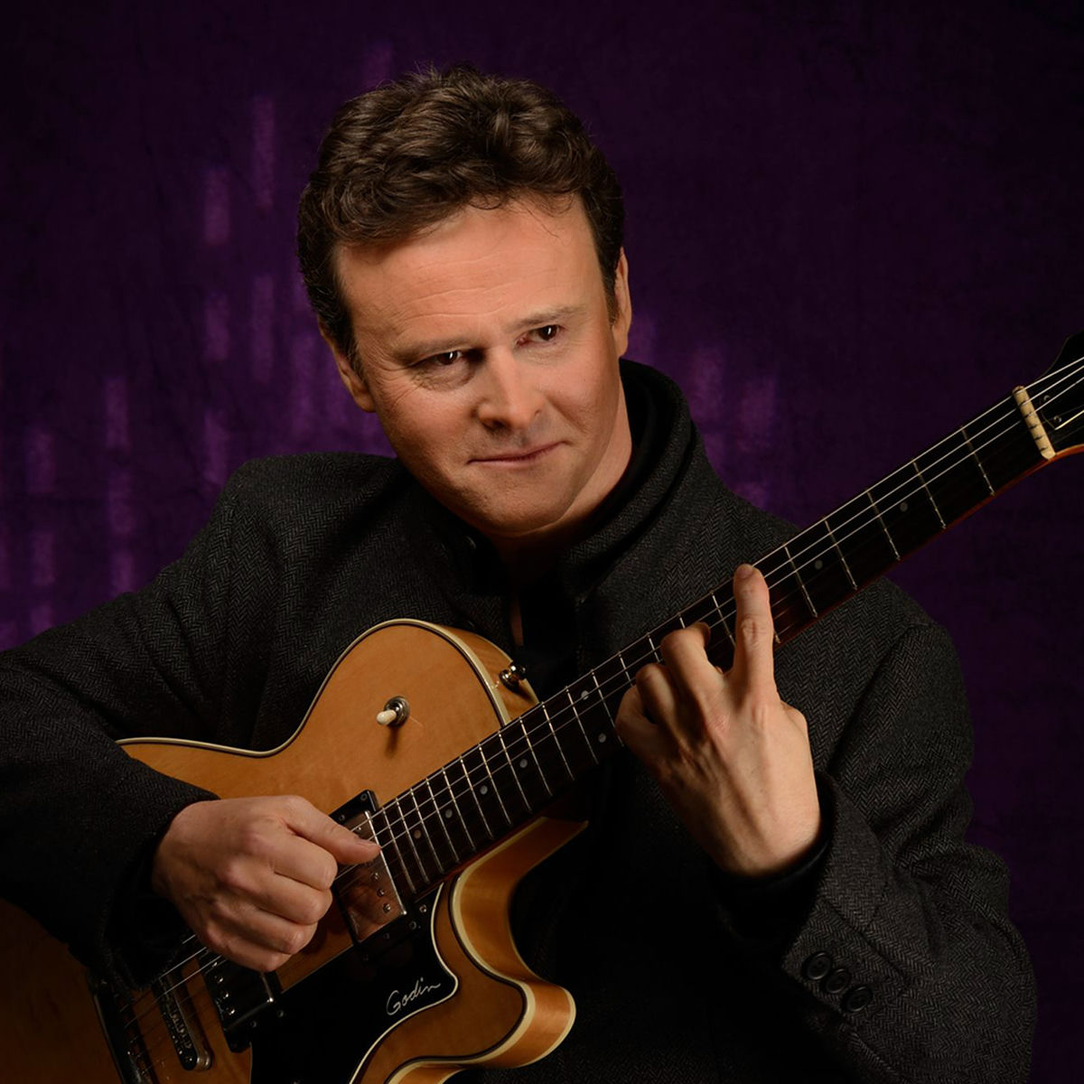 Artist picture of Sylvain Luc