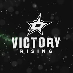 Picture of Dallas Stars
