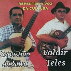 Picture of Valdir Teles