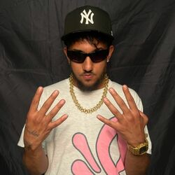 Picture of Guimzy
