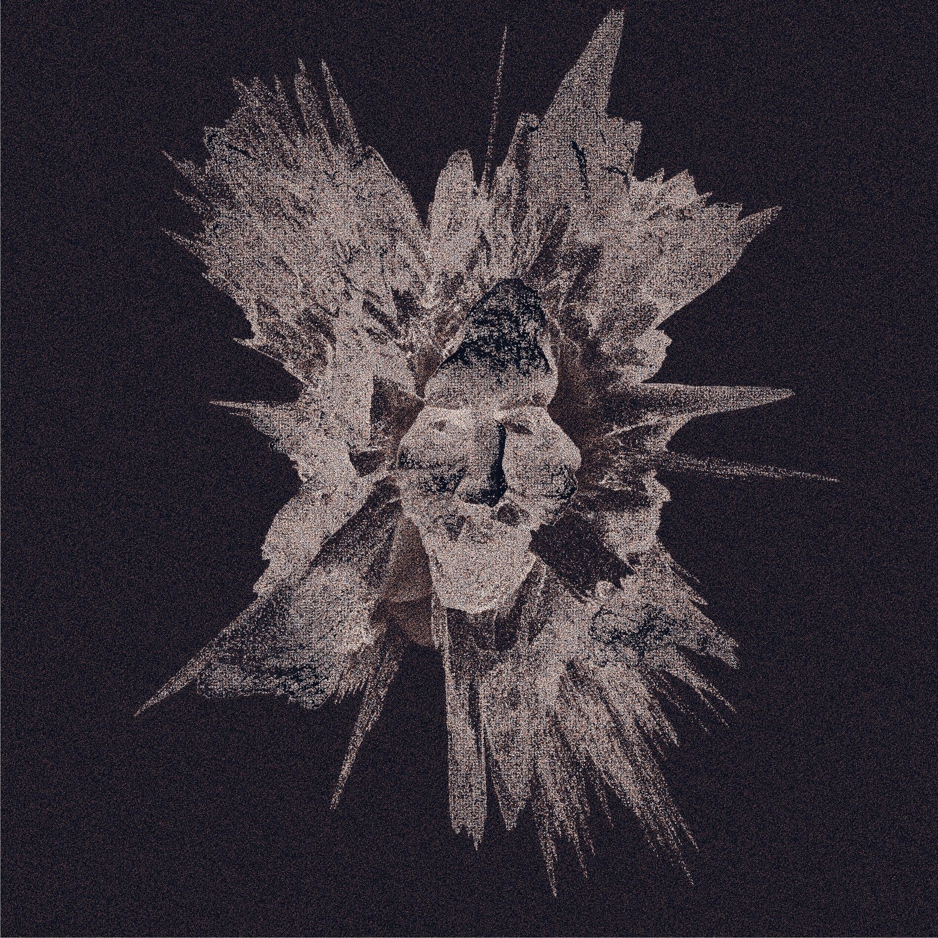 Artist picture of Idn