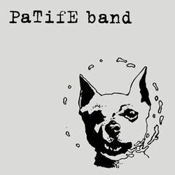 Picture of Patife Band