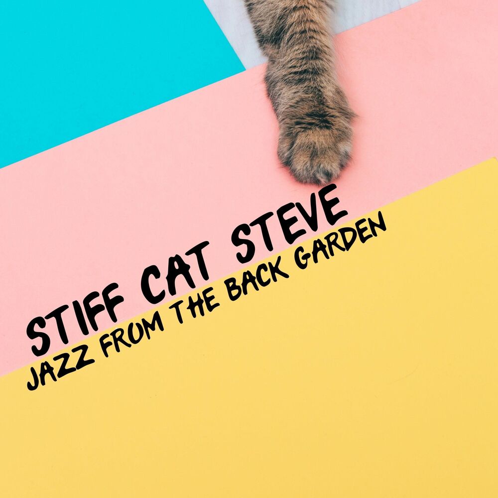 Picture of Stiff Cat Steve