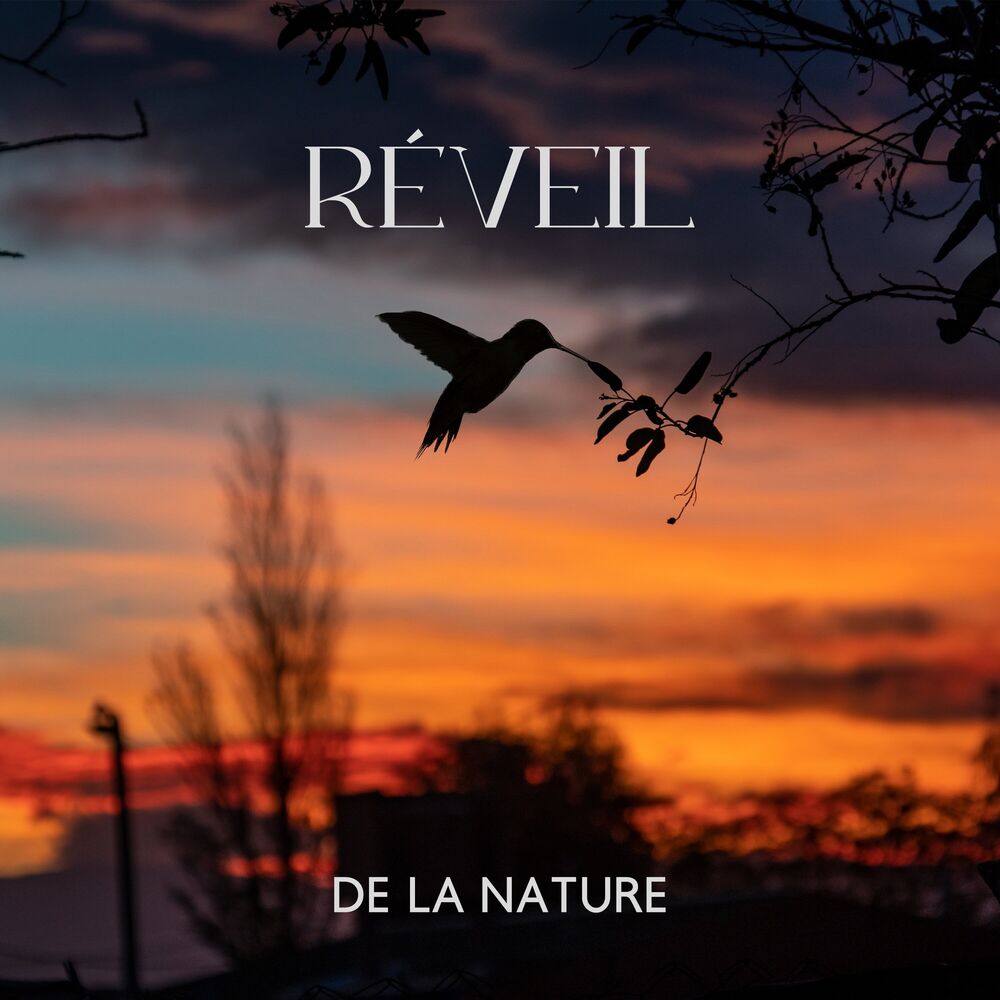 Picture of Académie de Musique des Oiseaux